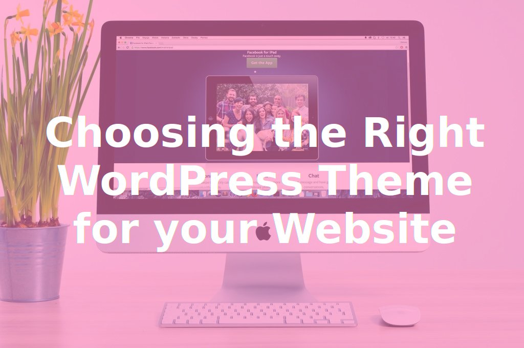 Choosing the right wordpress theme for your website